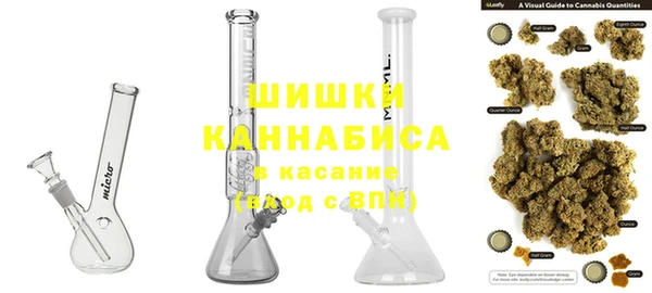 гидра Алексеевка