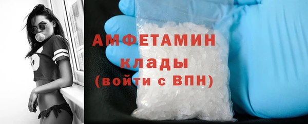 гидра Алексеевка