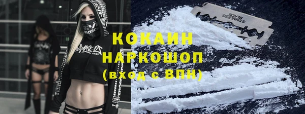 дмт Алексин