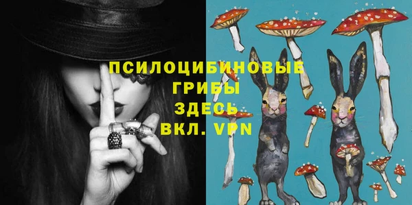 дмт Алексин