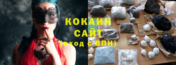 дмт Алексин