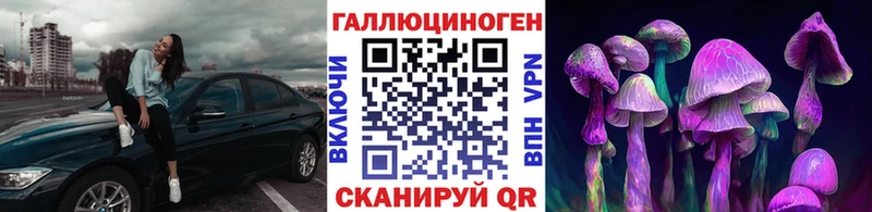 продажа наркотиков  Борзя  Галлюциногенные грибы MAGIC MUSHROOMS 